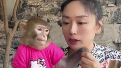 Have fun with monkey at zoo #monkey #love #animals #zoo #art #nature #cute #photography #photooftheday #fun #instagood #animal #travel #monkeys #wildlife #newyork #nyc #naturephotography #summer #picoftheday #gorilla #mo | Fenja Rödl