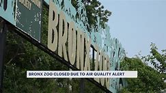 Bronx Zoo shuts its doors due to air quality concerns