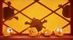 Chicky's show | Where's Chicky? Funny Chicky | Cartoon Collection in English for Kids | New episodes