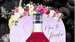 ✨NEW TO HACKS✨🫐🍓1800 WILD BERRY MARGARITA🫐🍓This pre-mixed cocktail is a delicious combination of 1800 Silver tequila, real fruit juice, triple sec and a hint of lime. Enjoy the sweet and tart taste of wild berries, including blackberry, raspberry, blueberry and cranberry. Perfect for a summer evening or a festive gathering with friends. Enjoy 1800 Ultimate Wild Berry Margarita Pre-mixed Cocktails anytime, anywhere.....#hacksliquorolivebranch #hacksliquor #olivebranchms #memphis #southaven #m