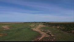 162 acres for sale in Jones County, Texas - Quail Hollow Ranch