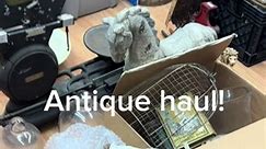 Pricing this all right now to go out in the store! Wish we got loads like this everyday! #antiquestorefinds #antiquestore #antique #vintage #thrifthaul #haul #fyp