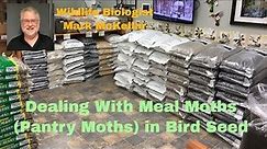 Dealing with Meal Moths (Pantry Moths)
