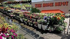 Home Depot Garden Center New inventory for April 2024 - Spring annuals & Perennials 🤗🌱💚