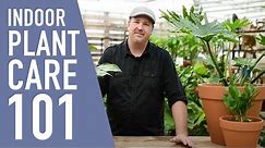 Tropical Plant Care Made Easy 🌱 || West Coast Gardens