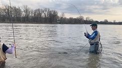 Here is another fisherman... - Maumee River Walleye Run