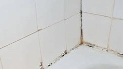 5 Best Ways to Clean Shower Tile & Grout (Home Remedies)