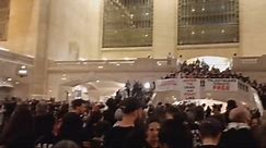 US: Hundreds Of Protesters Storm NYC Grand Central To Demand Israel-Hamas Ceasefire 6