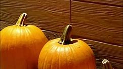 Kick your pumpkin carving up a notch (or 10) with powerful Masterforce tools 💪 #pumpkincarving #pumpkins #powertools https://bit.ly/48GNFIy | Menards
