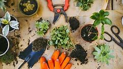 What To Do With Compost From A Composting Toilet: 6 Safe & Easy Uses | Yuzu Magazine