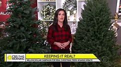 Debate over real vs. fake Christmas trees