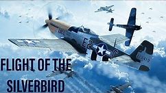 Two Steps From Hell Flight Of The Silverbird [ Aerial Dogfight Music Video ]