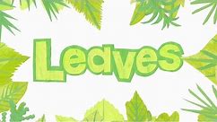 Leaves Names - Leaf shapes (Learn to Identify Trees from their Leaves)