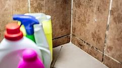 8 Ways to Remove Mold from Shower Caulking