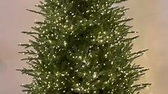is the viral home depot christmas tree worth the hype? #homedepotchristmastree #christmastree #9foottree #tree #holidays #home #decor #homedepot #fyp