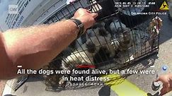 Watch police rescue 36 dogs from locked U-Haul in soaring temperatures