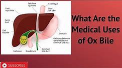 What Are the Medical Uses of Ox Bile