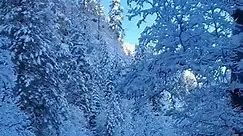 Snow in Oak Creek Canyon