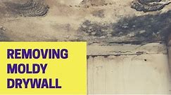 How To Remove Moldy Drywall: Get Rid of Mold