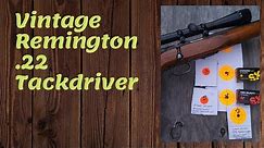Vintage Remington .22 Tackdriver
