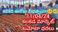 11-04-24 Kalakada Tomato Market price Today || Today Tomato Market Rate in Kalakada #today