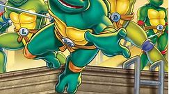 Teenage Mutant Ninja Turtles (Animated): Season 7 Episode 26 Combat Land