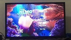 Finding Nemo DVD Opening (2003/2004)