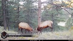TRAIL CAMERA VIDEO FROM MICANITE RANCH! Canon City, CO. 357 /- acres | $1,950,000. 📸 // Stealth Cam. Jeff Masterson Land Specialist. Discover the ultimate outdoorsman’s homestead at Micanite Ranch, where history and modern efficiency intertwine while delivering the optimum hunting and outdoor experience. The 357-acre ranch is home to some of the most diverse terrain that Colorado has to offer which presents endless opportunities for hunting, horseback riding, atving, and mountain exploration. T