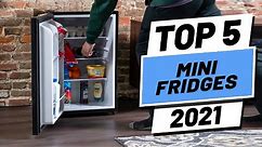 Top 5 BEST Mini Fridges of [2021]