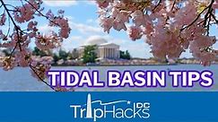Tips for Visiting the Tidal Basin Cherry Blossoms 🌸 Washington DC