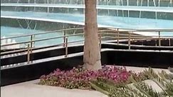 Dubai frame building | water fountain | Part 2