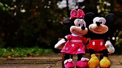 Disney Outlet Store Locations Near Me [Save up to 50%]