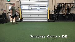 Suitcase Carry - DB