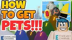 HOW TO GET PETS IN ROBLOX ISLANDS || HOW TO GET PETS SPAWN EGG || PETS + LAVA UPDATE ROBLOX ISLANDS