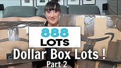 Dollar Lots From 888 LOTS | Part 2 | Cookware And Craft | I Cant Believe These Items Were Only $1