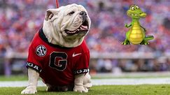 Georgia Grocery Store Selling Whole Alligators To UGA Fans For 'World's Largest Outdoor Cocktail Party'
