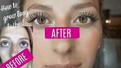 LASH SERUM BEFORE & AFTER! Growing Long Lashes
