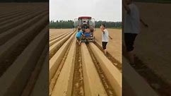 Rotary tillage ridger + drip irrigation belt＃Agricultural Machinery