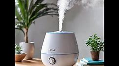 How to Clean Levoit Humidifier with Vinegar