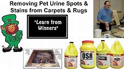 How to Remove Pet Urine Odors and Stains from Carpets & Rugs with Pro's Choice OSR and Odor Barrier