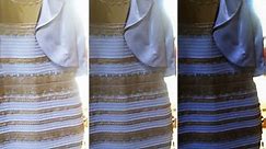 White And Gold Or Black And Blue: Why People See the Dress Differently