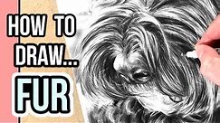 How to Draw Fur for Beginners | Drawing Realistic Fur with Graphite Step by Step