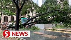 Hong Kong battling aftermath after Typhoon Saola wrecks city