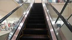 Escalators - Macy's - Countryside Mall - Clearwater, FL