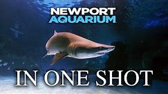 Zoo Tours: The Entire Newport Aquarium in One Shot (GoPro Walkthrough)