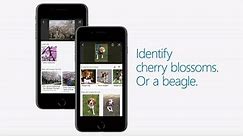 Microsoft launches new Bing visual search features on Android and iOS