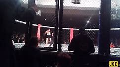 MMA fighter punched to death in cage