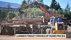 WATCH: Lumber futures have surged more than 60% to record highs this year, and analysts aren’t expecting any relief until late 2021.