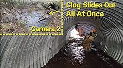 Removing Very Thick Beaver Dam From Tight Culvert Pipe Filled With Mosquitoes
