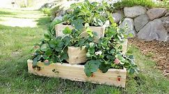 How to Make a Sleek Tiered Strawberry Planter